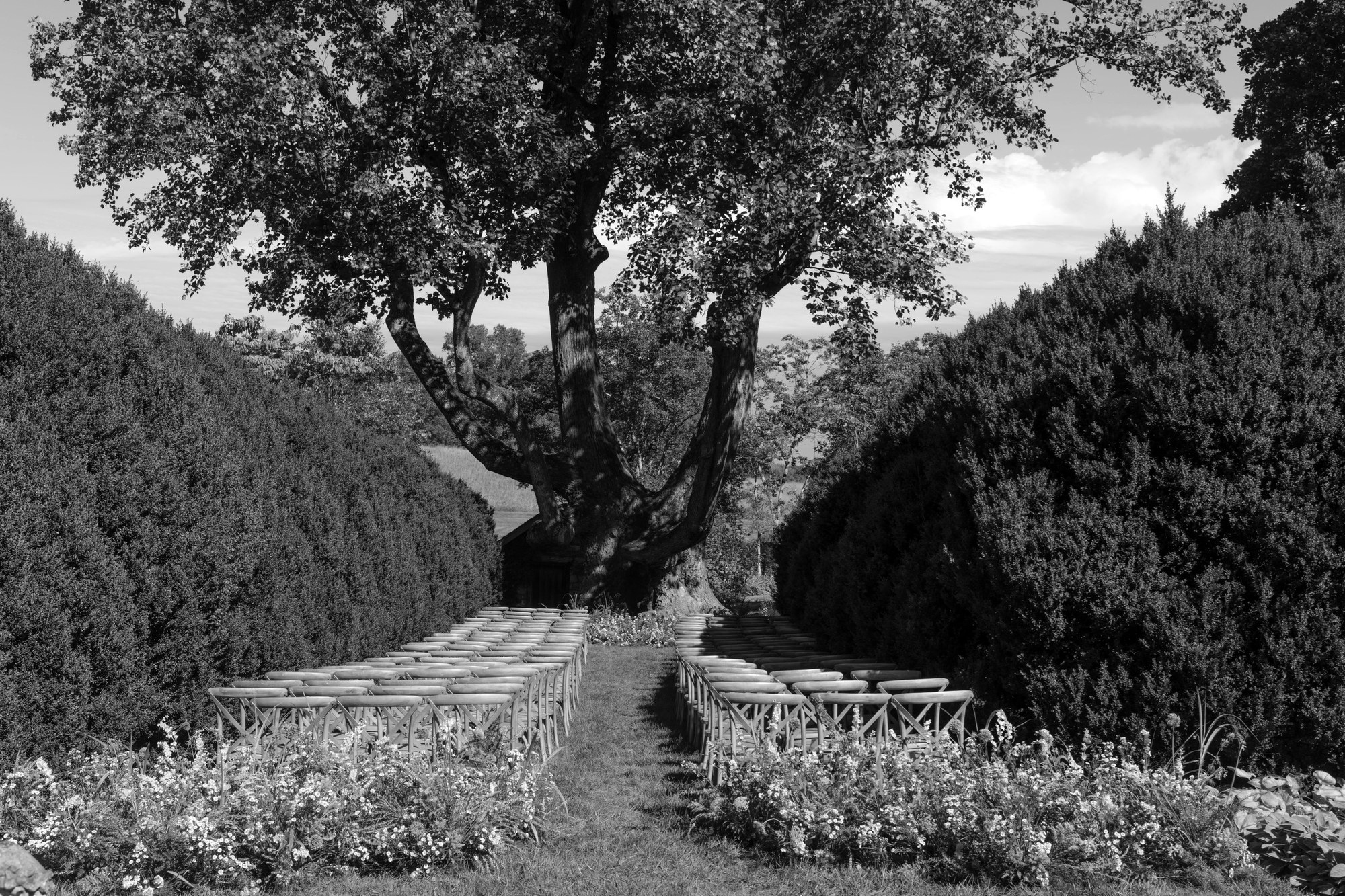 Garden wedding ceremony in Virginia